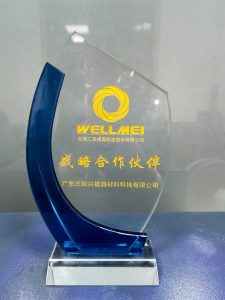 13 WELLMEI Strategic Partner Medal