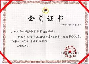 8 Member of China Mold Industry Association